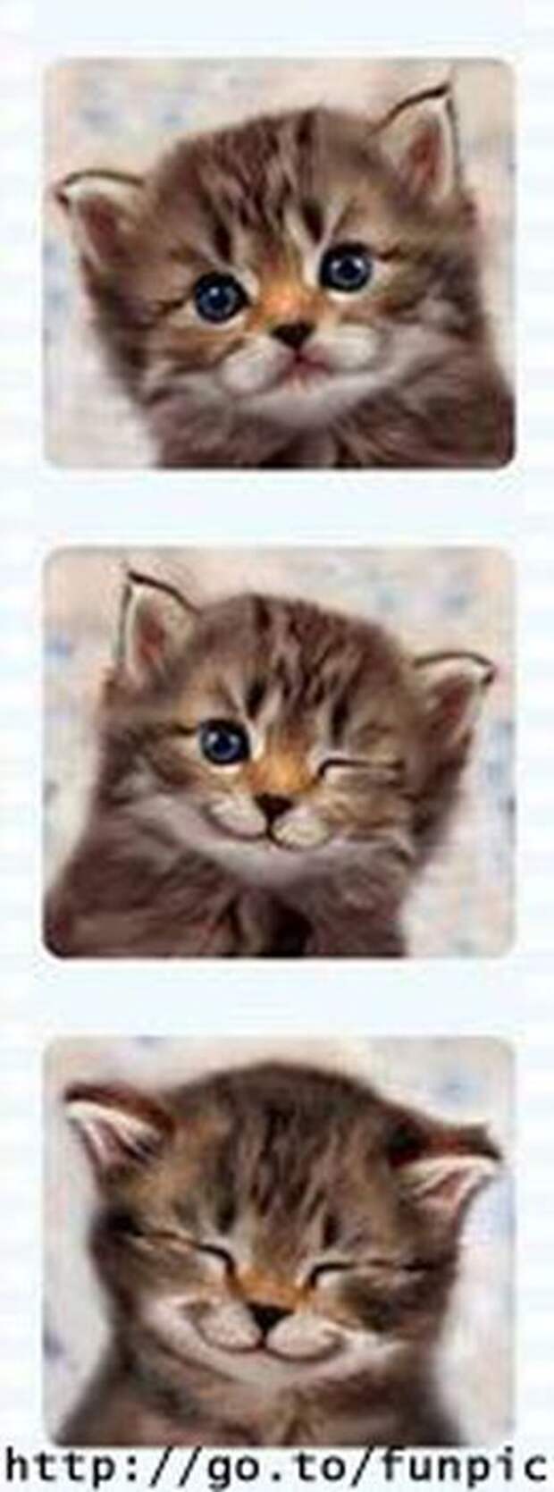 А Вы работайте!!!