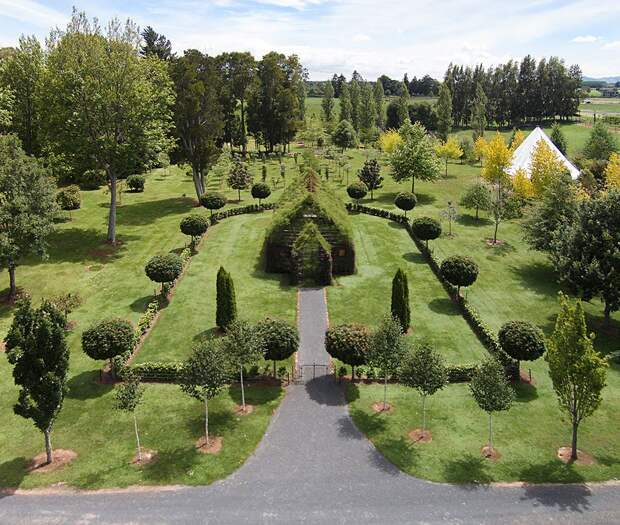 tree-church-nature-installation-barry-cox-new-zealand-3