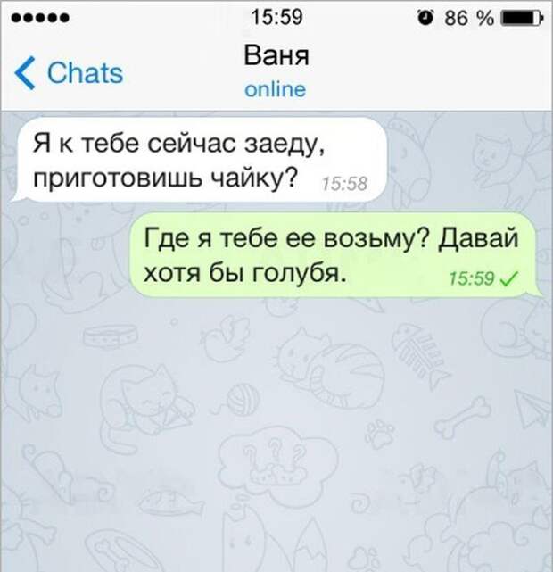16 жизненных СМС, которые раскроют истину 16 жизненных СМС, которые раскроют истину жизнь, смс, юмор