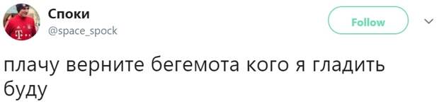 Похищение кота Бегемота
