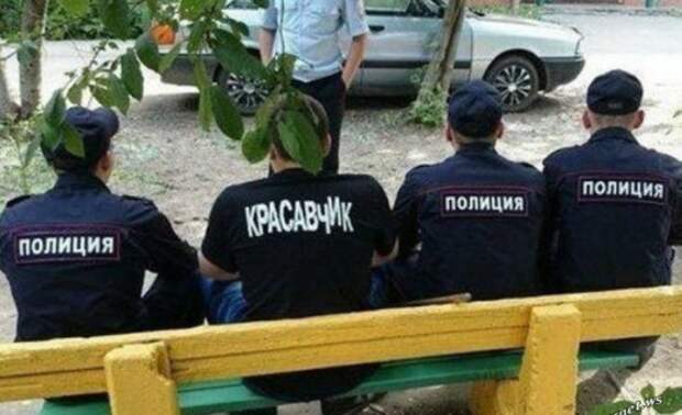Прикольные картинки