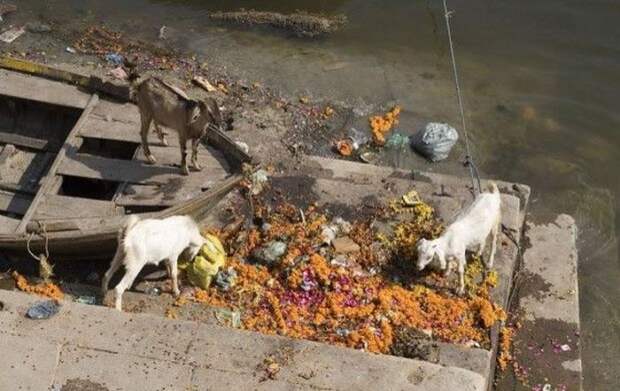 real_india_19