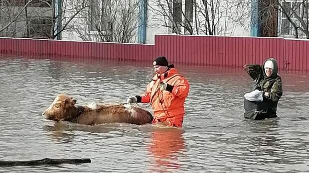 Уровень в алтайском крае