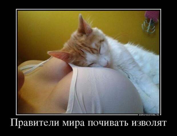 Новый выпуск 534: Классные и улётные демотиваторы (26 фото) Новый выпуск 534: Классные и улётные демотиваторы (26 фото)