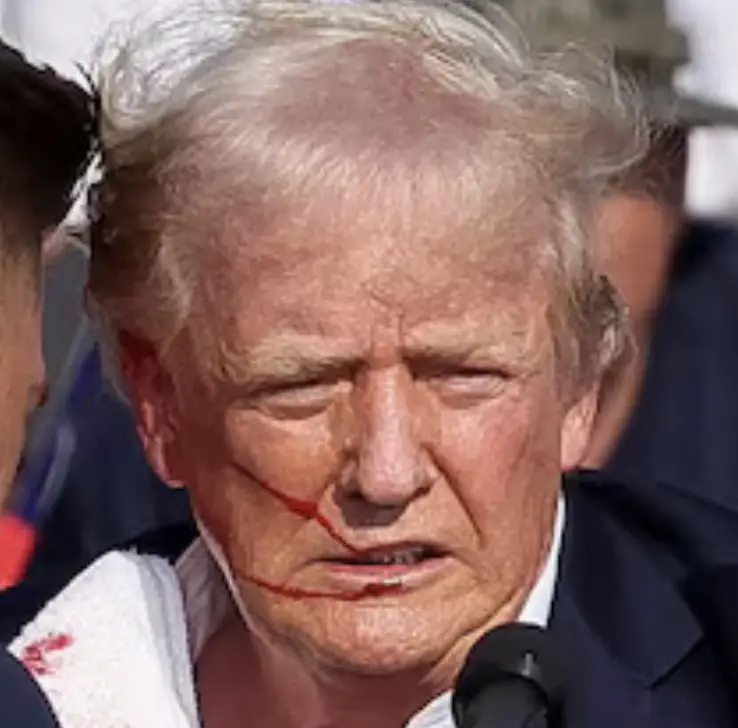 По официальной версии во время выступления в Пенсильвании на Трампа было совершено покушение. С примерно 120 метров стрелок произвел предположительно 4 выстрела из винтовки типа AR-15.-5