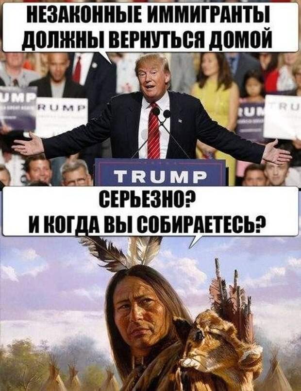 Картинки, юмор, приколы