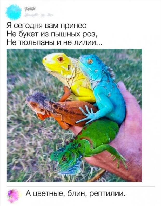 Комментариии пользователей, которые могут превратить в шутку все что угодно Комментариии пользователей, которые могут превратить в шутку все что угодно