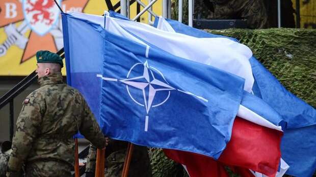 Хаотическая политика Трампа и разрушение НАТО