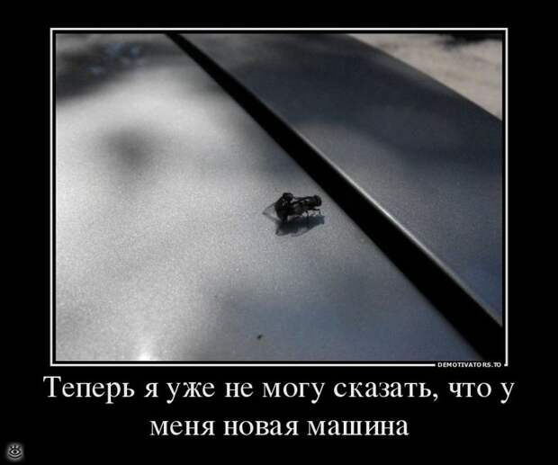 Фантазия, не унимайся! 33