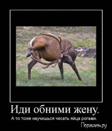 Демотив смешная подборка.