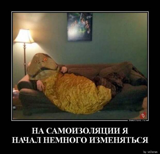 1587452365_demki-31.jpg