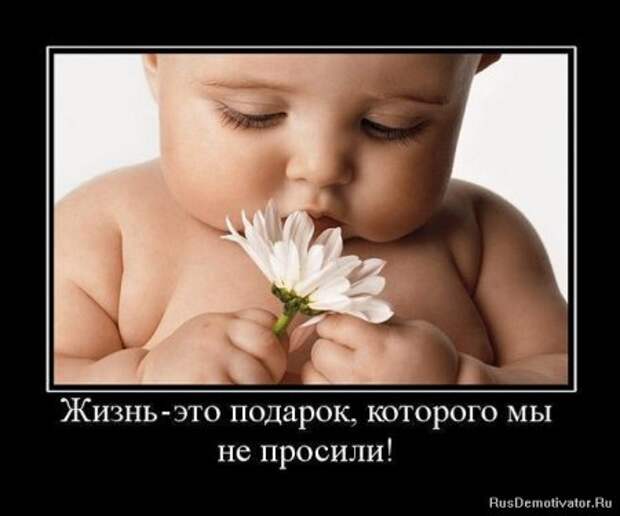 Демотиваторы про детей.