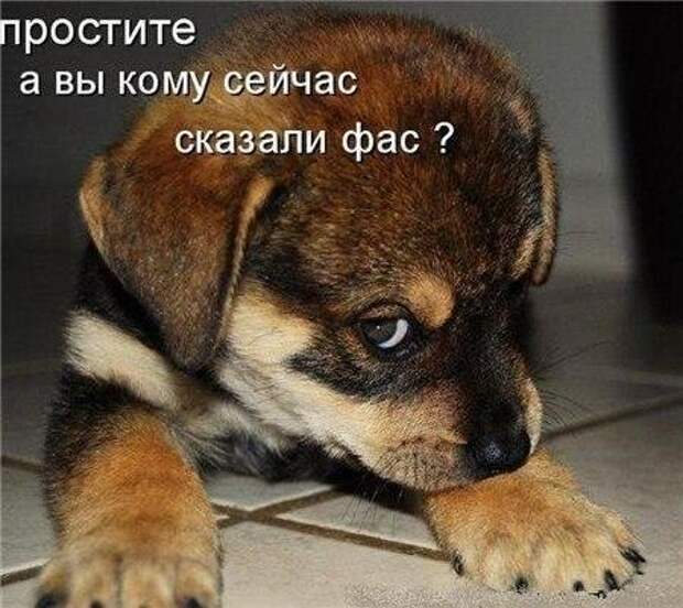 Прикольные фотомемы на Бугаге (33 шт)