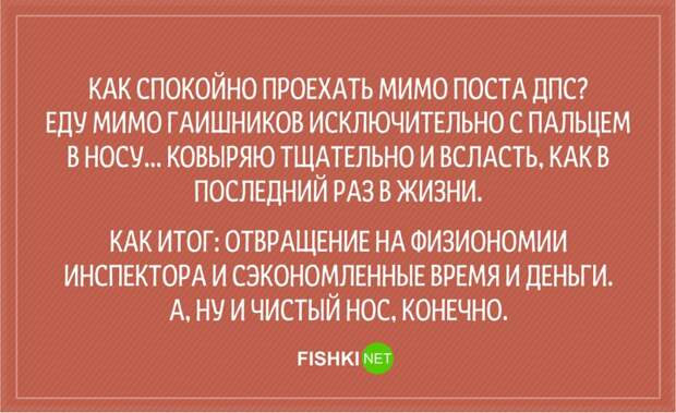 20 анекдотов о сотрудниках ГИБДД Анекдоты, гаи, гибдд