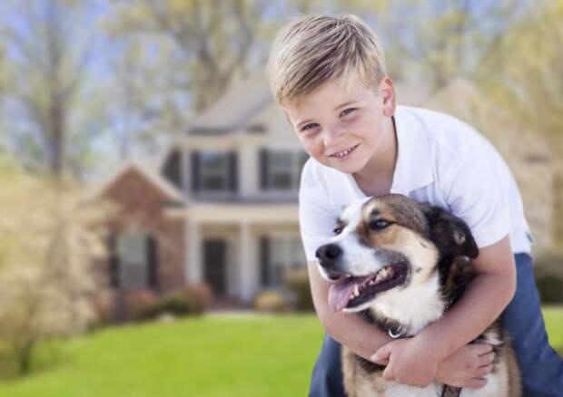 Самая лучшая собака для ребенка: породы, название, описание с фото