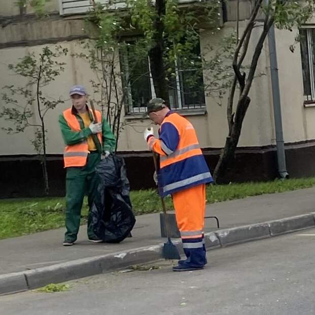 В парке «Березовая роща» убрали мусор