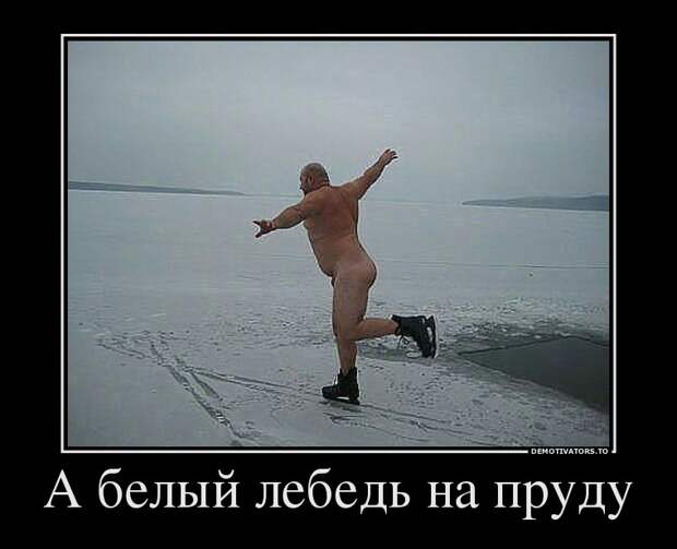 Демотиваторы демотиваторы