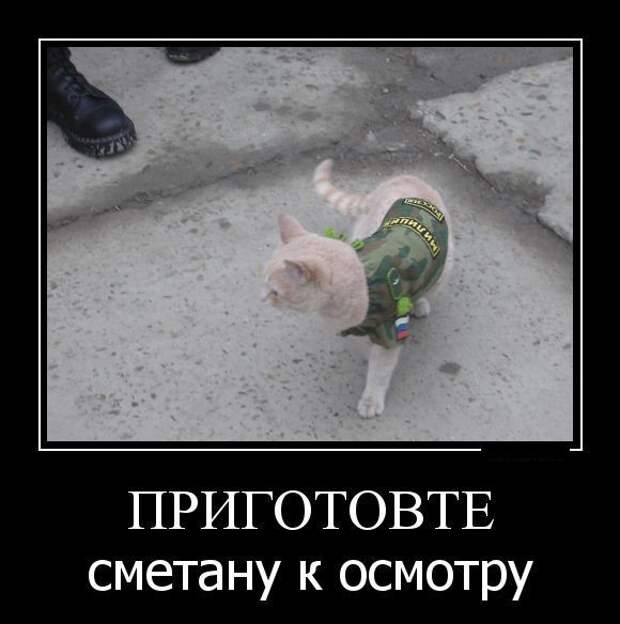 ПОДБОРКА ПРИКОЛЬНЫХ ДЕМОТИВАТОРОВ №124