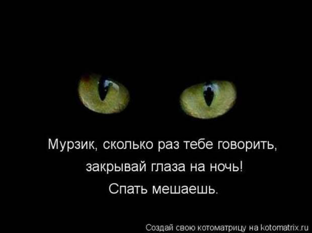 Котоматрицы(картинки с надписями)