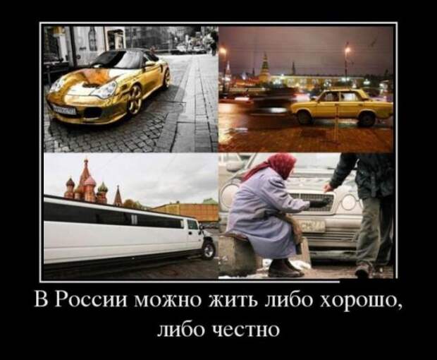 Немного новых демотиваторов
