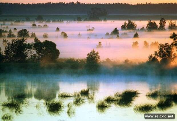 Andris_Eglitis_032 Andris_Eglitis_032