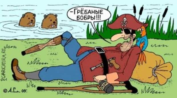 Карикатуры на любителя.