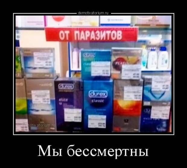 Свежие демотиваторы (13 фото)