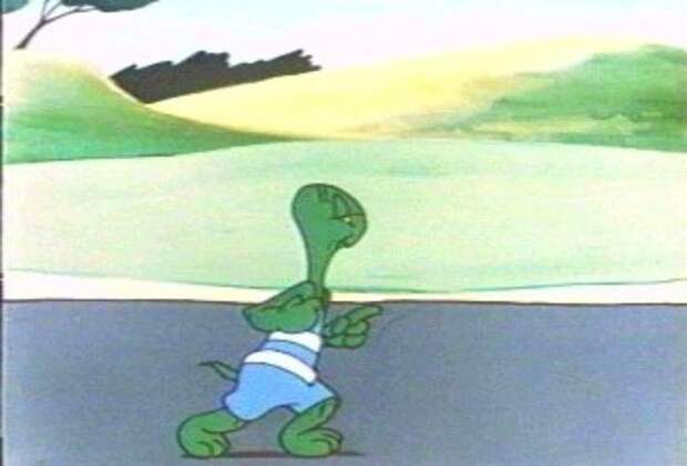 12 невероятных фактов, которые скрывают черепахи под своим панцирем 12 невероятных фактов, которые скрывают черепахи под своим панцирем