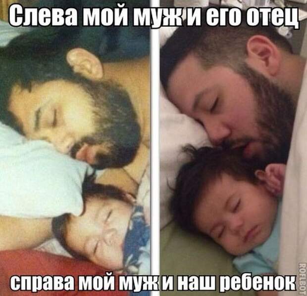 Смешные картинки с подписями картинки, прикол, юмор