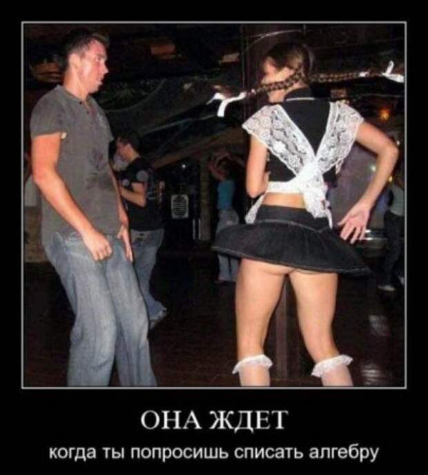 Демотиваторы картинки смешные сюжеты.