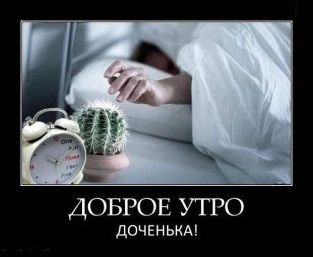 Демотиваторы демотиваторы, прикол, смех, юмор