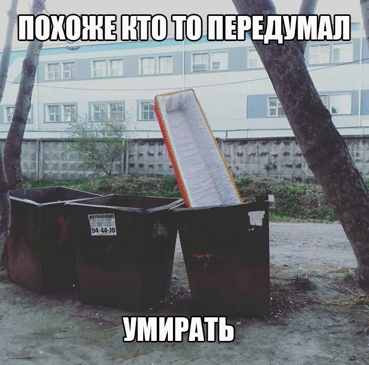Забавные и веселые картинки с надписями (11 фото) Забавные и веселые картинки с надписями (11 фото)