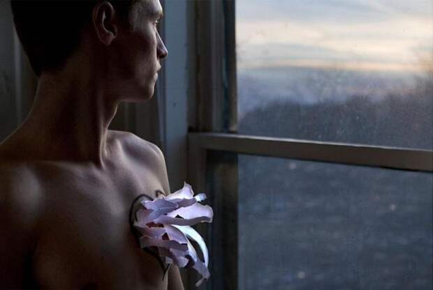 интересные факты о любви 9