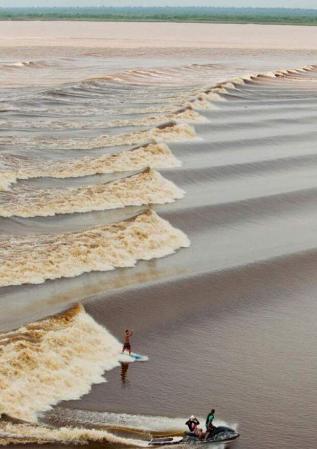 Прикольные картинки. Вечерний выпуск (52 фото)