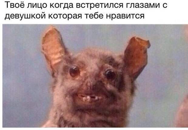 Смешные картинки с надписями прикол, юмор