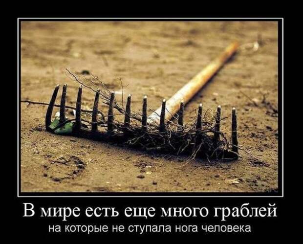 Демотиваторы (30 фото) Демотиваторы (30 фото)