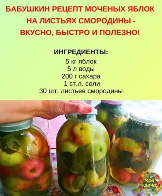 Яблоки мочёные в банках. Яблоки мочёные в банках на зиму.