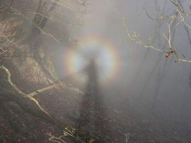 25 ошеломляющих оптических иллюзий, созданных природой природа, иллюзии, обман зрения