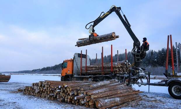 В Верхнетоемском округе формируют плоты для весеннего сплава древесины