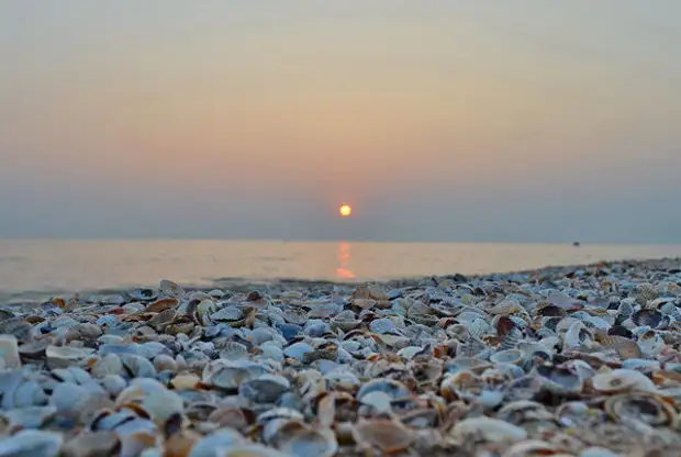 Должанское Азовское Море Фото