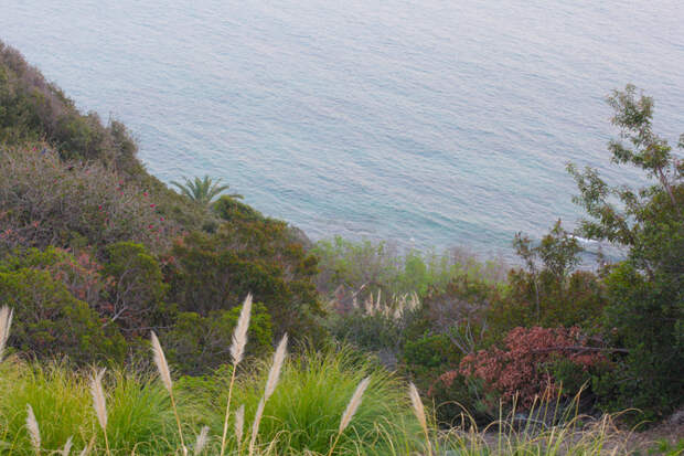 Malibu beach view from above - Rossana Vanoni