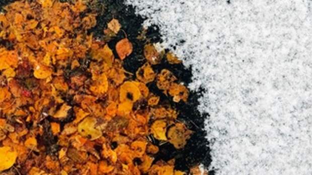 Граница между осенью и зимой / Фото: amic.ru