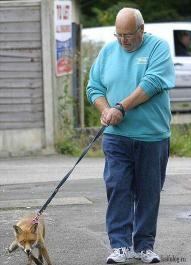 Необычные домашние животные (55 фото) Необычные домашние животные (55 фото)