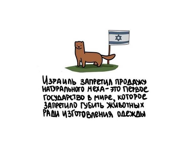 Разные интересные факты на все случаи жизни