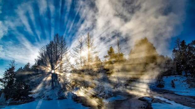 Фото: pixabay.com