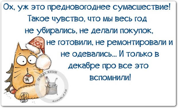 Немного новогодней «Правды жизни» (30 картинок)