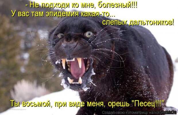 Мысли вслух :)