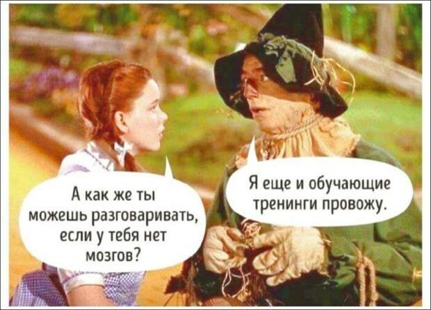 How can you talk if you haven't got a brain? - I also hold training sessions мемы, прикол, юмор