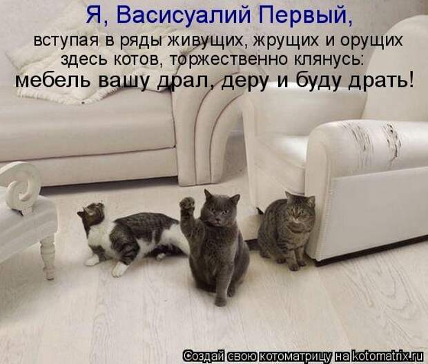 Котоматрица