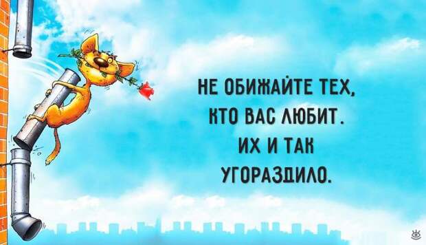 Разгрузочный день! 9